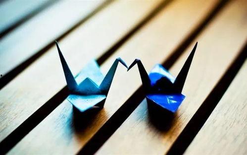 千纸鹤最新爆料图片大全,图片大全揭秘幕后故事 第2张 千纸鹤最新爆料图片大全,图片大全揭秘幕后故事 第2张