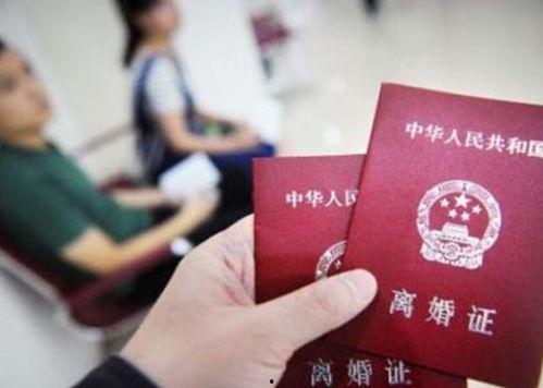 深圳离婚最新爆料排队,最新爆料揭示排队离婚背后的社会现象 第2张 深圳离婚最新爆料排队,最新爆料揭示排队离婚背后的社会现象 第2张