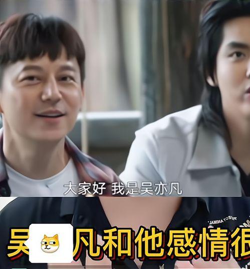 导演爆料直播视频大全最新,最新直播视频幕后故事大盘点  第3张